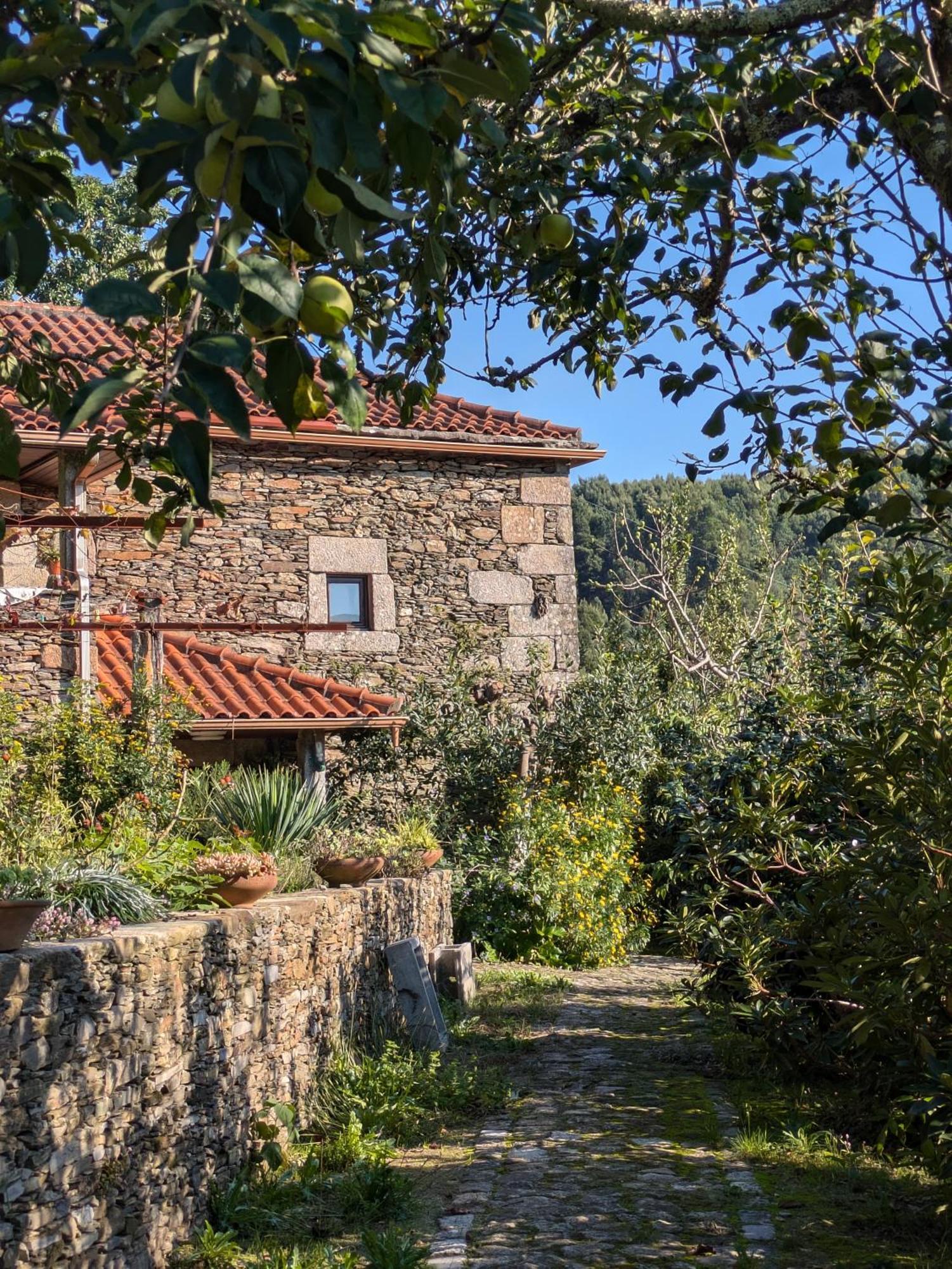 فيلا Casa Do Valo Amonde المظهر الخارجي الصورة