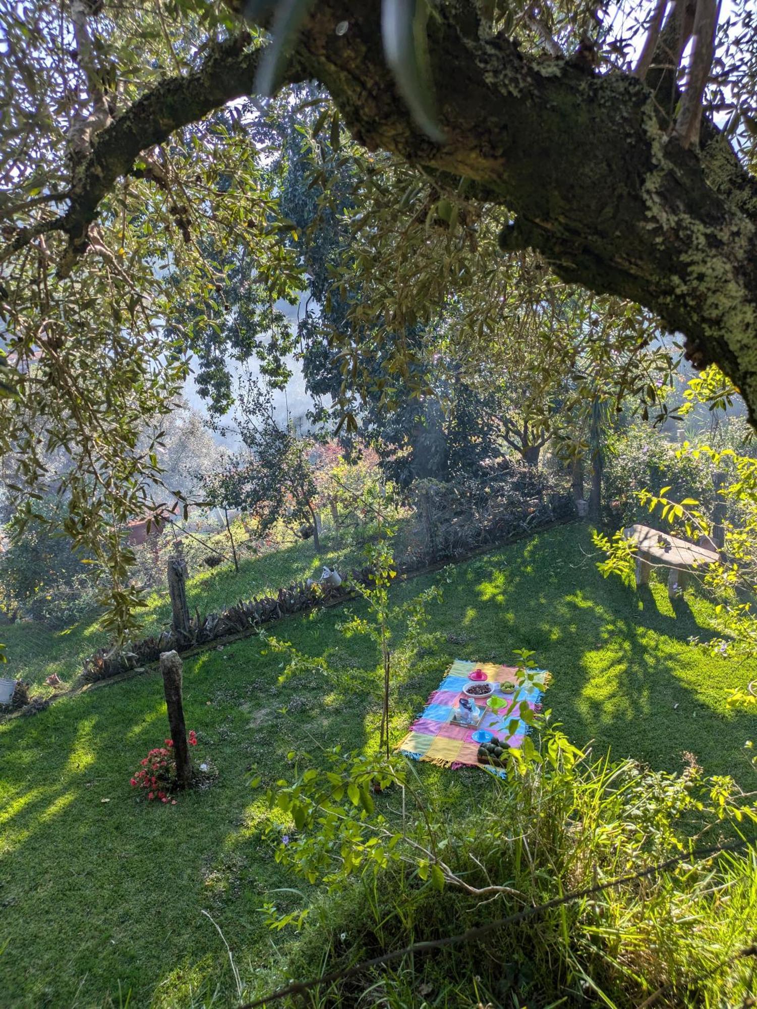 فيلا Casa Do Valo Amonde المظهر الخارجي الصورة