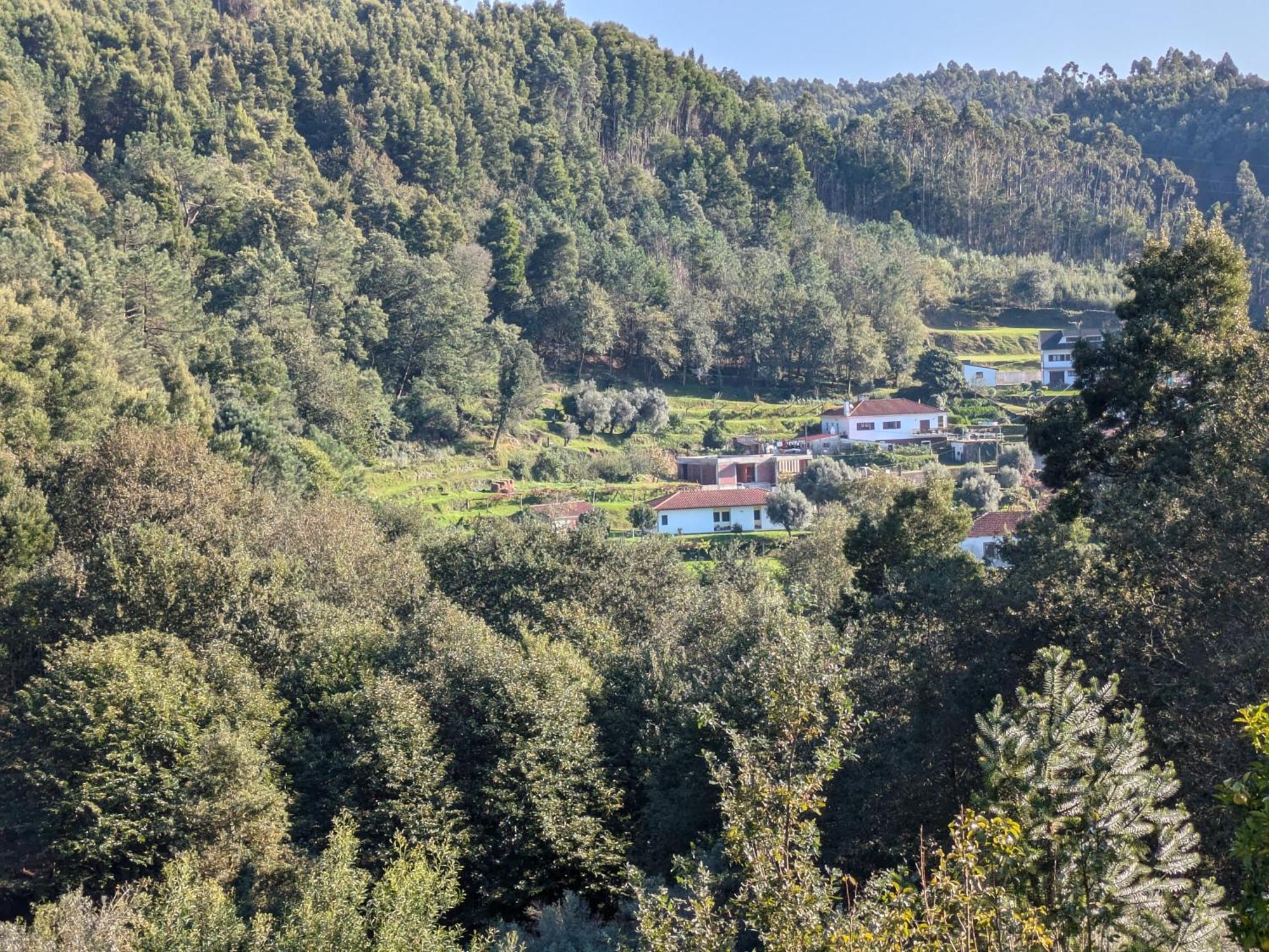 فيلا Casa Do Valo Amonde المظهر الخارجي الصورة