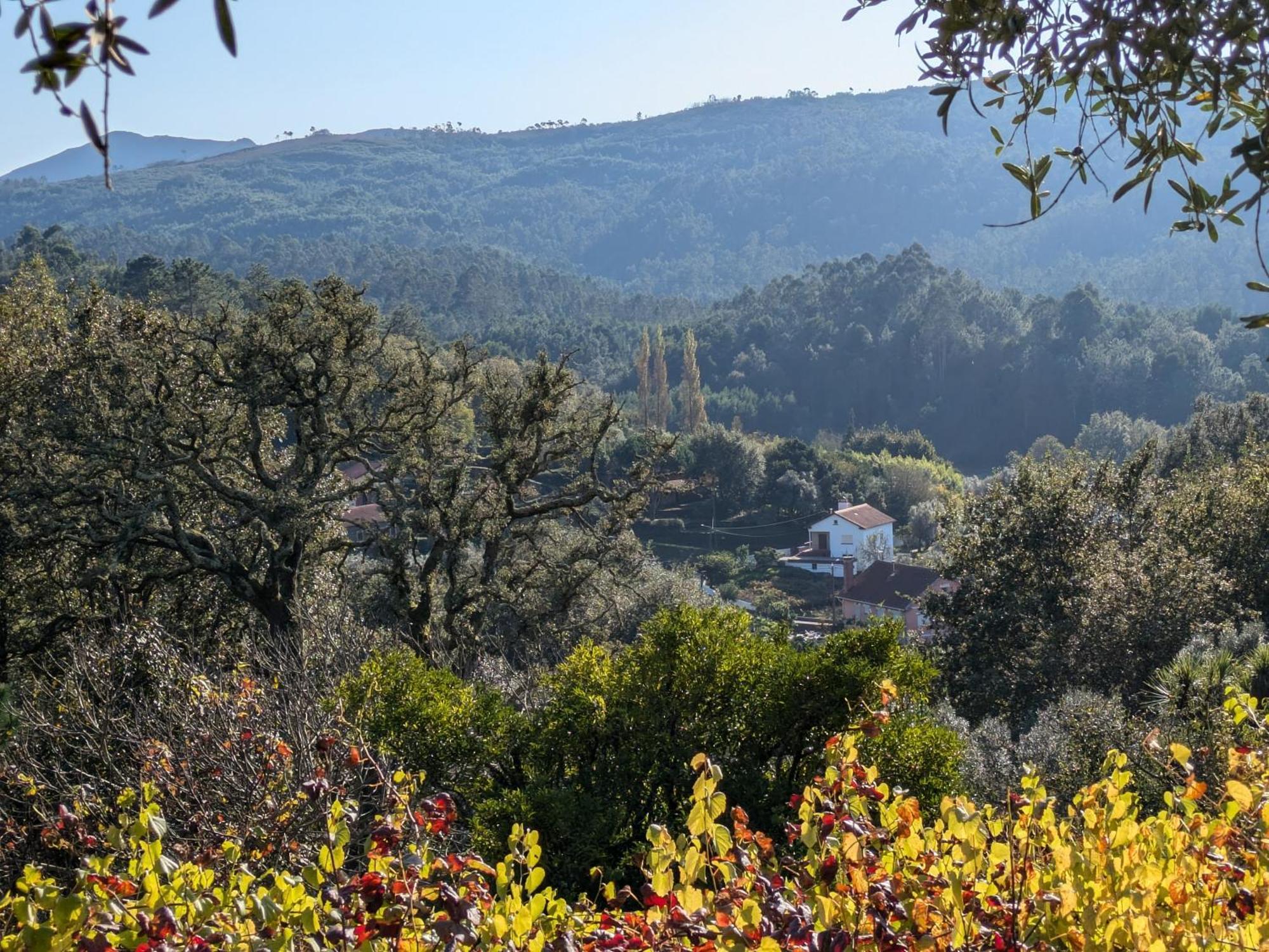 فيلا Casa Do Valo Amonde المظهر الخارجي الصورة