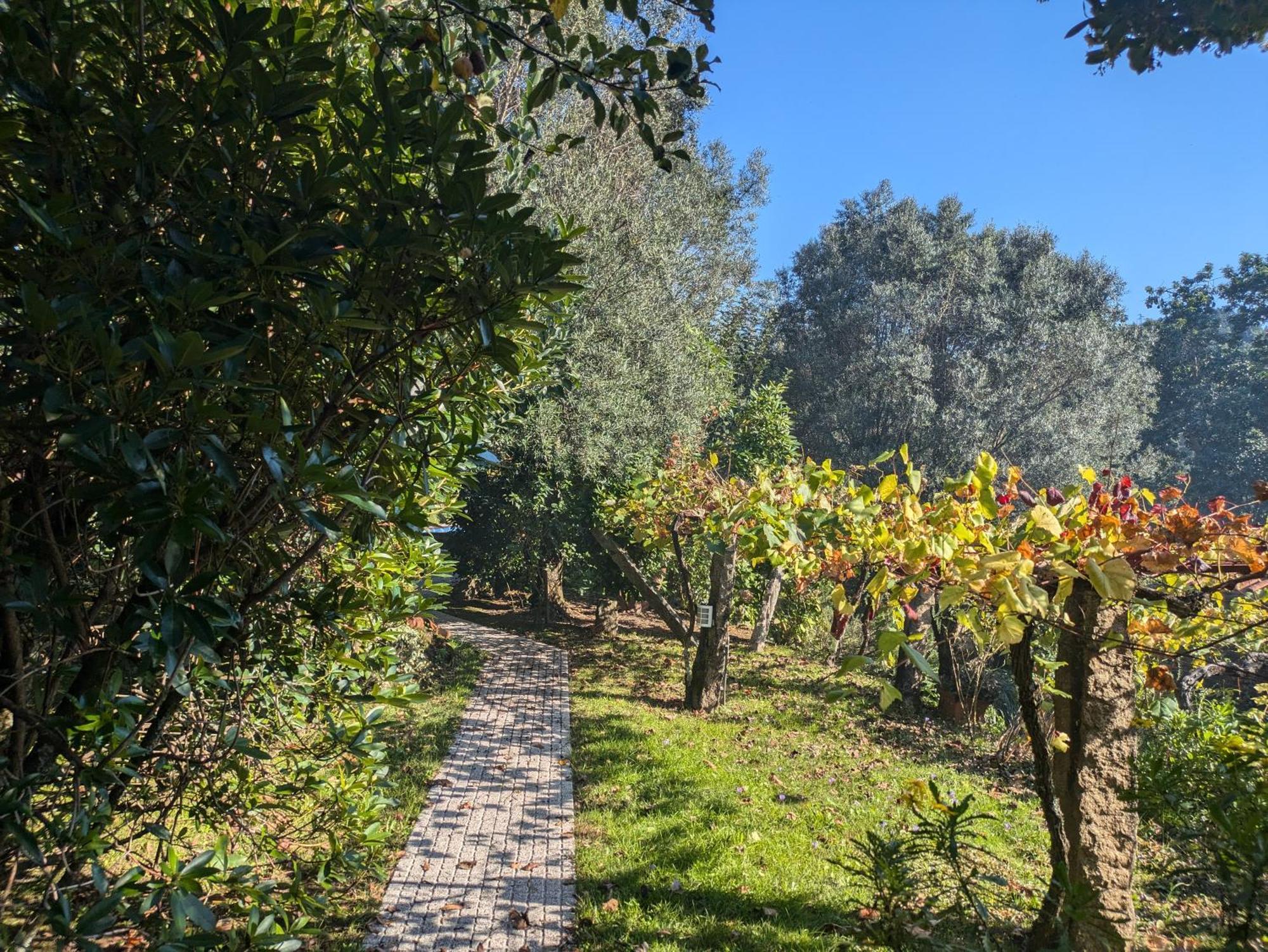 فيلا Casa Do Valo Amonde المظهر الخارجي الصورة