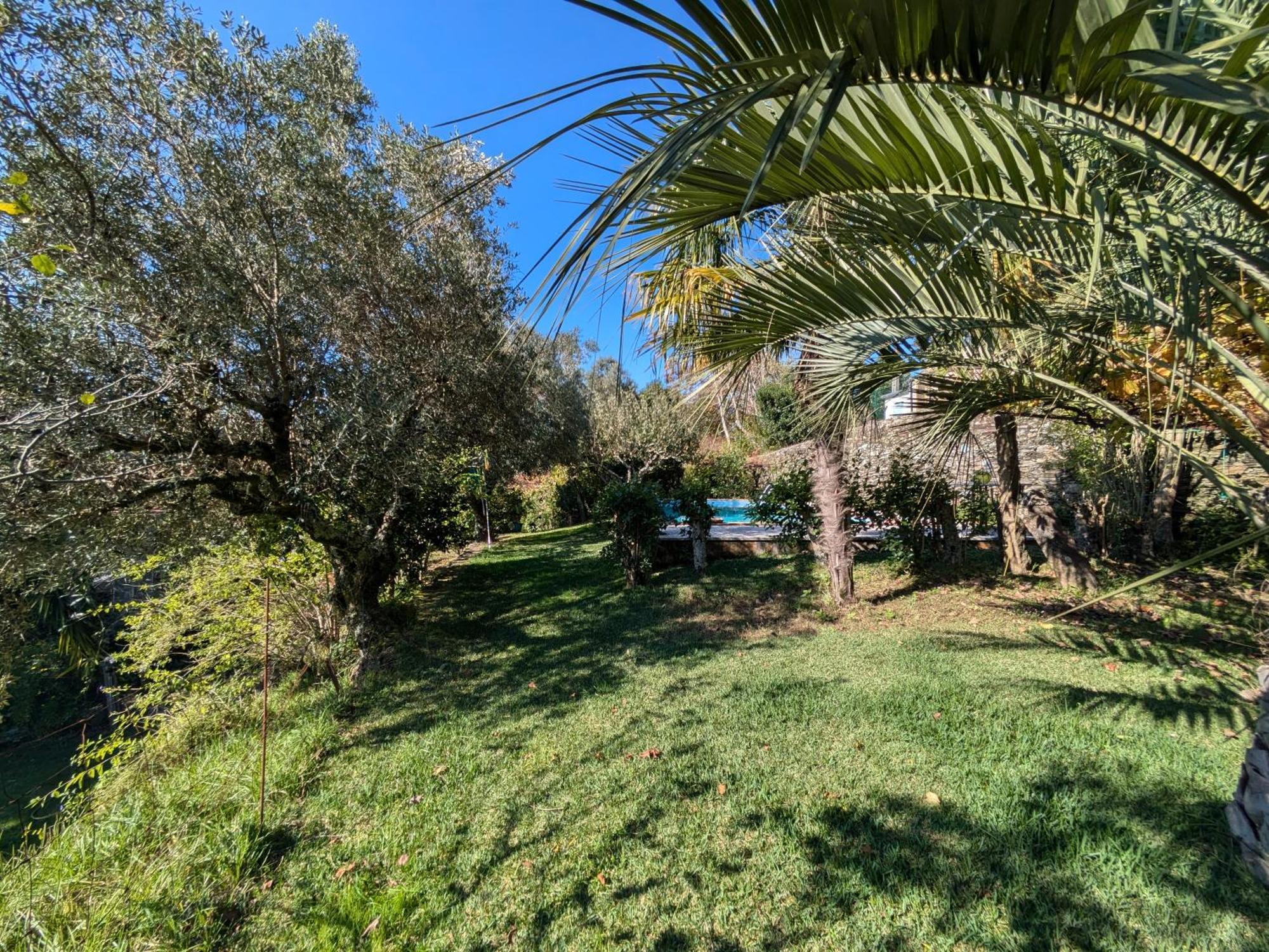فيلا Casa Do Valo Amonde المظهر الخارجي الصورة