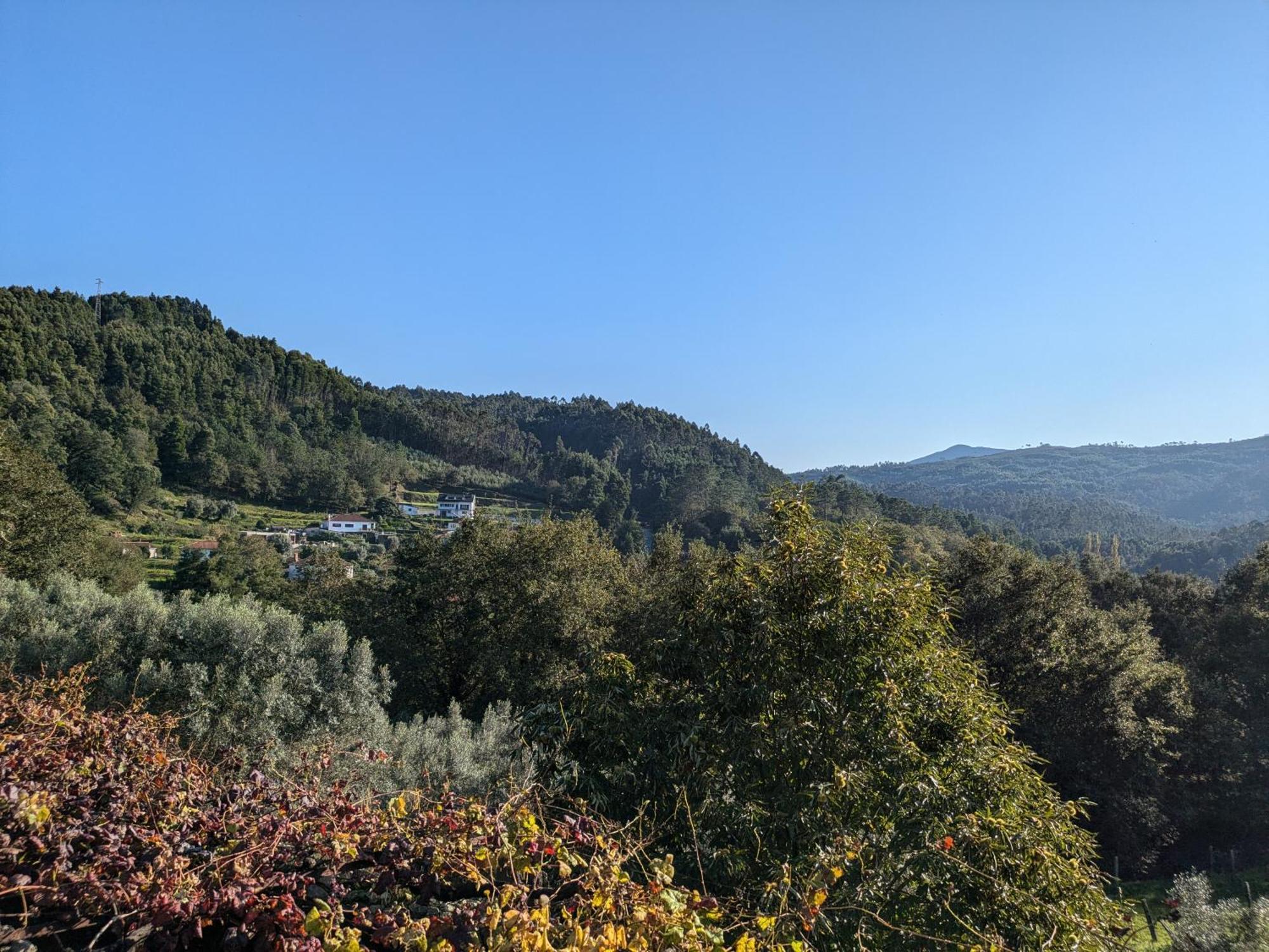 فيلا Casa Do Valo Amonde المظهر الخارجي الصورة