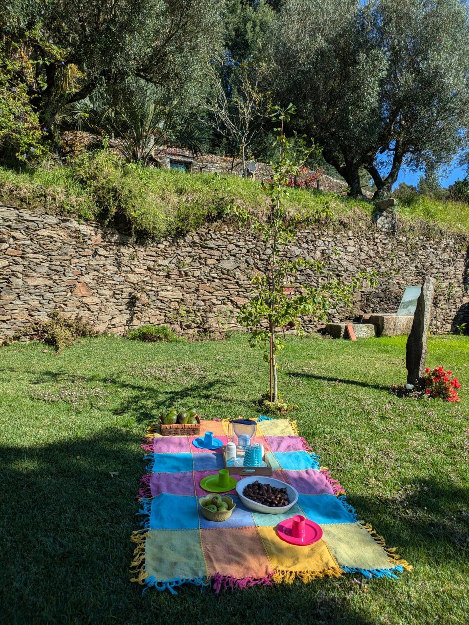 فيلا Casa Do Valo Amonde المظهر الخارجي الصورة